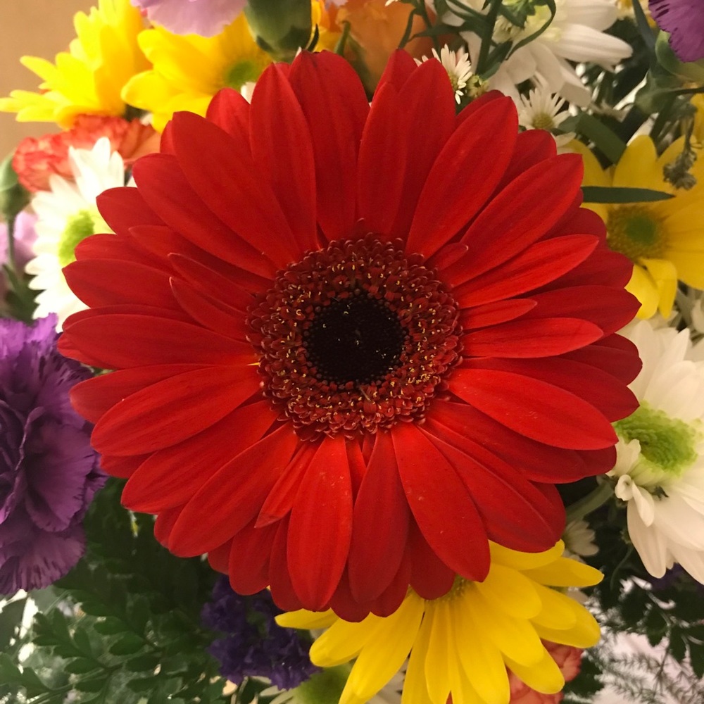 🌸🌸🌸Meet your Posher, Christine🌸🌸🌸